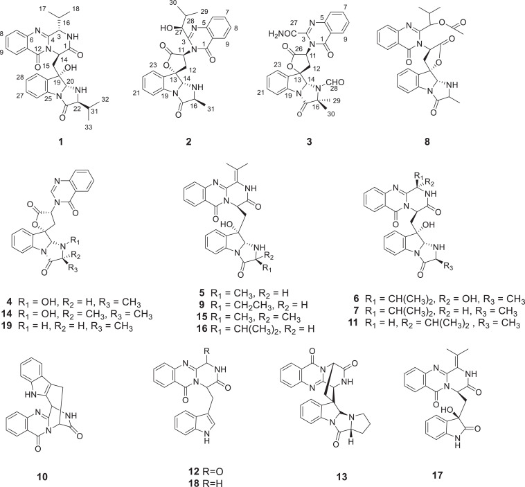 FIGURE 1