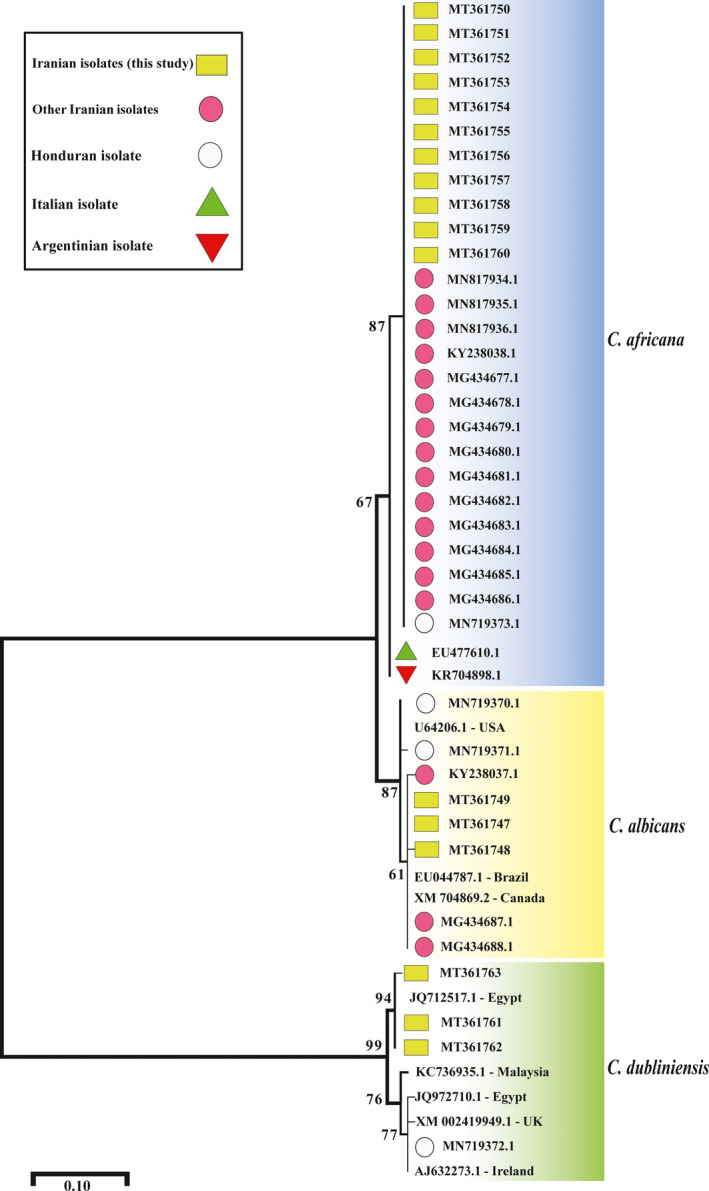 FIGURE 1