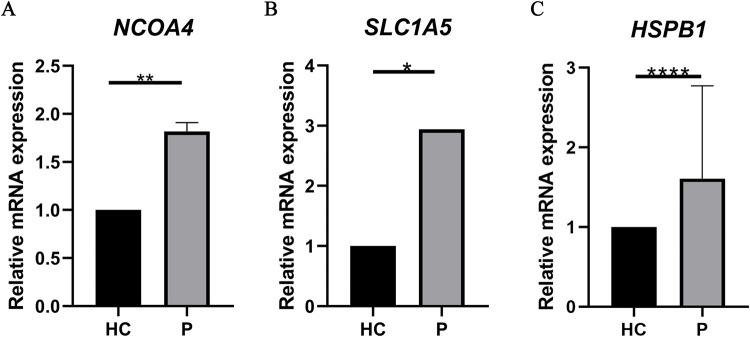 Fig 10