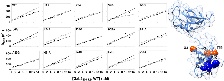 Figure 3