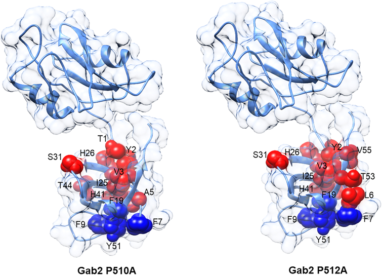 Figure 5