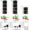 FIG. 4.