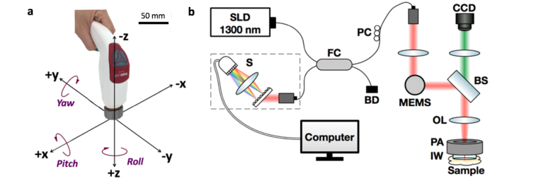 Fig. 1