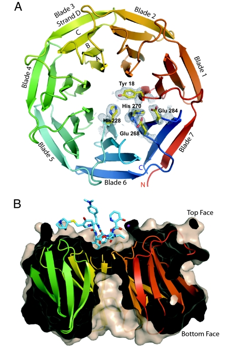 Fig. 1.