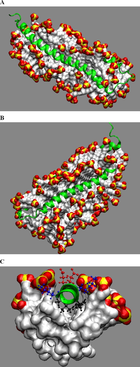 FIGURE 2.