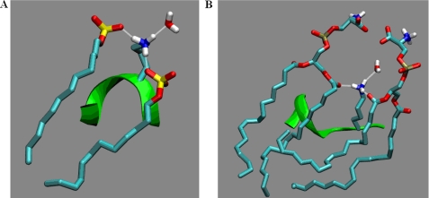 FIGURE 10.