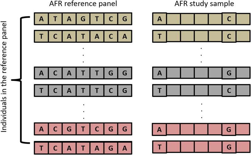 Fig 1