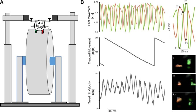 Figure 5.