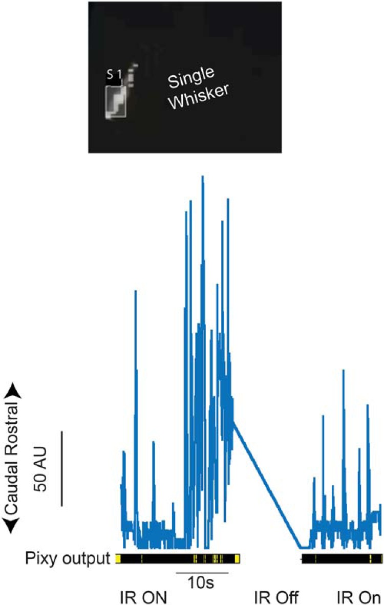 Figure 4.