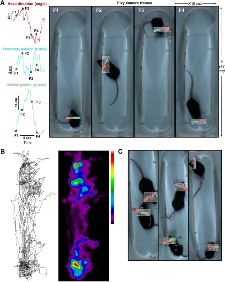 Figure 6.