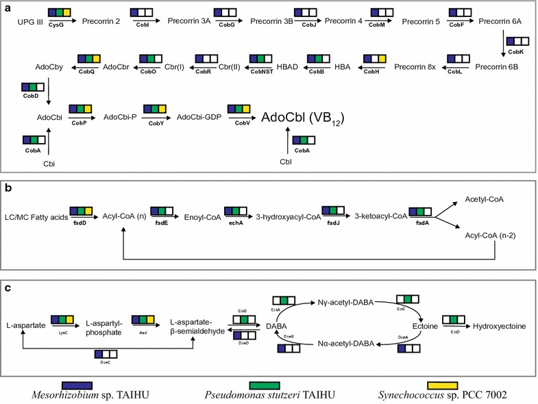 Fig. 4