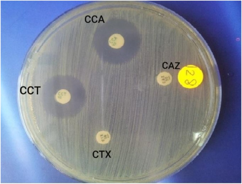 Figure 2.