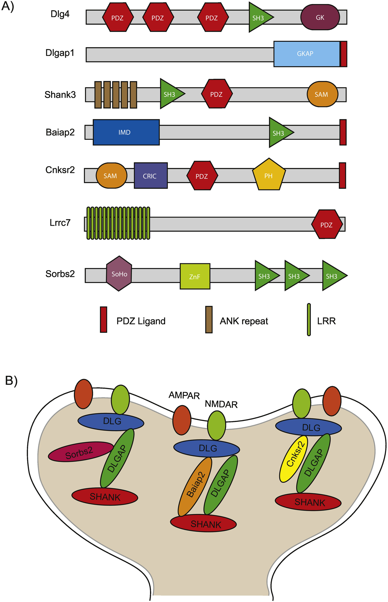 Figure 1 –