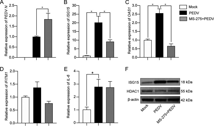 FIG 6