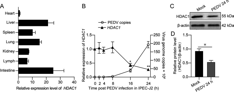 FIG 2