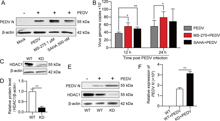 FIG 4