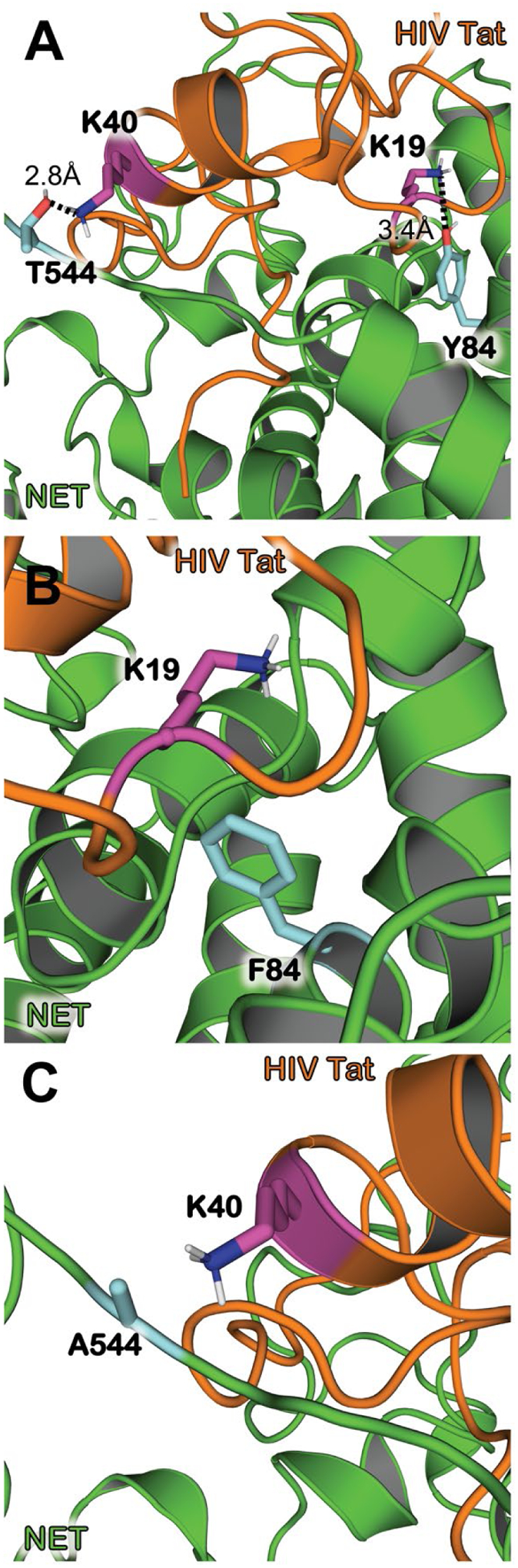 Figure 3.