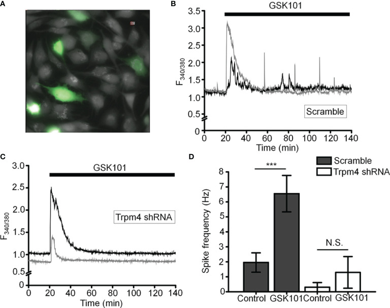 Figure 7