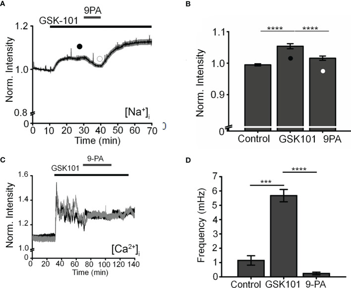 Figure 4