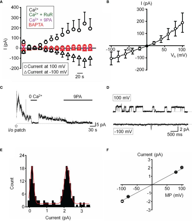 Figure 6