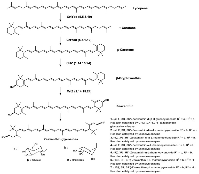 Figure 9