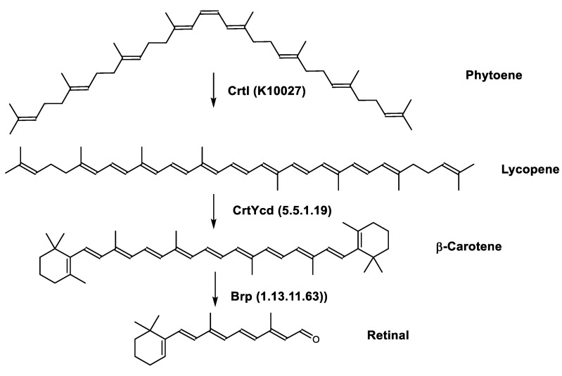 Figure 7