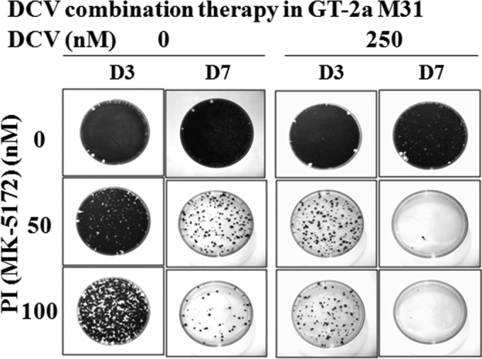 FIG 3