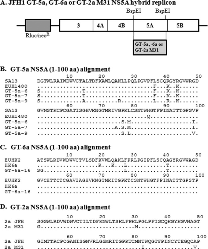 FIG 1