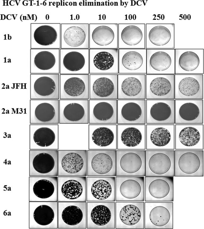 FIG 2