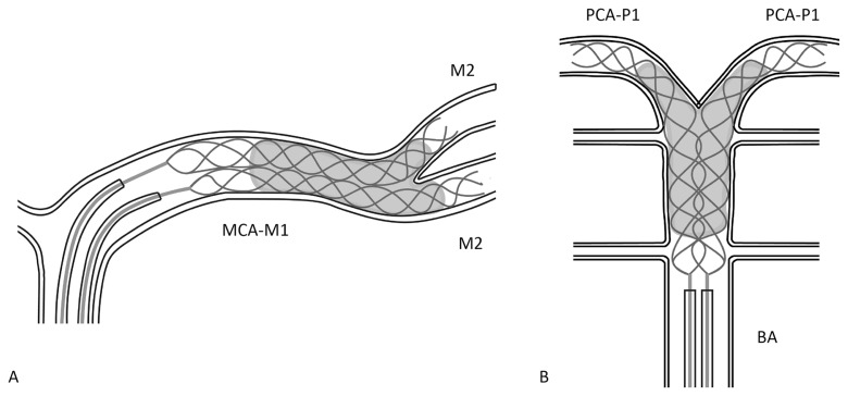 Figure 3: