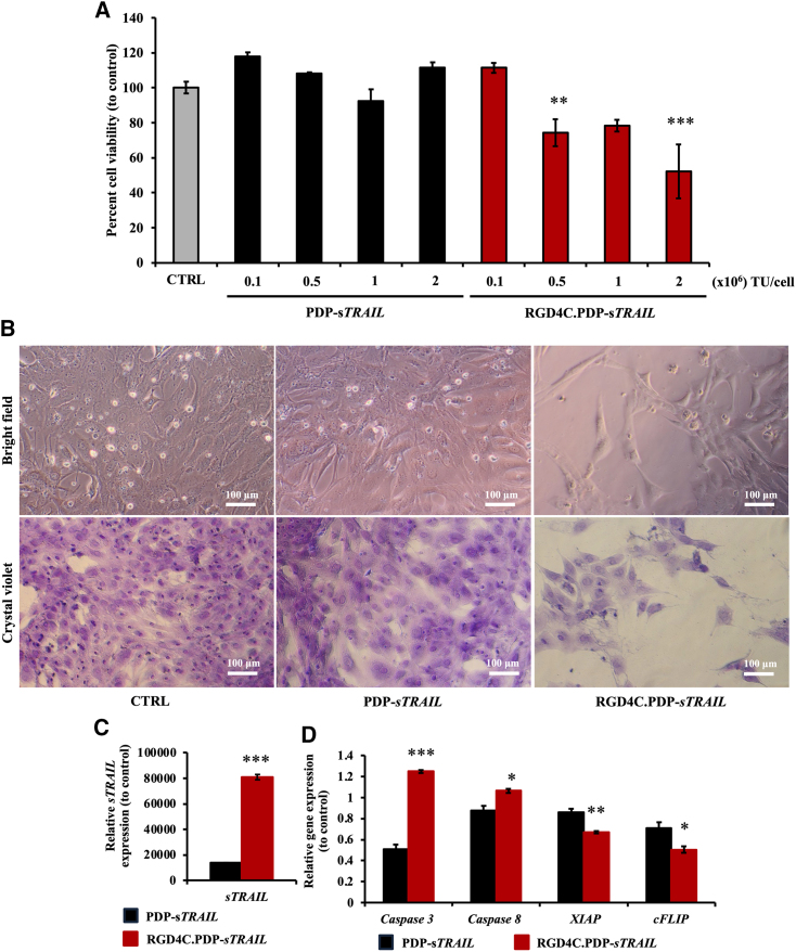 Figure 6