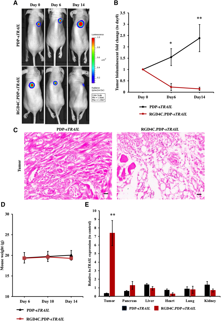 Figure 7