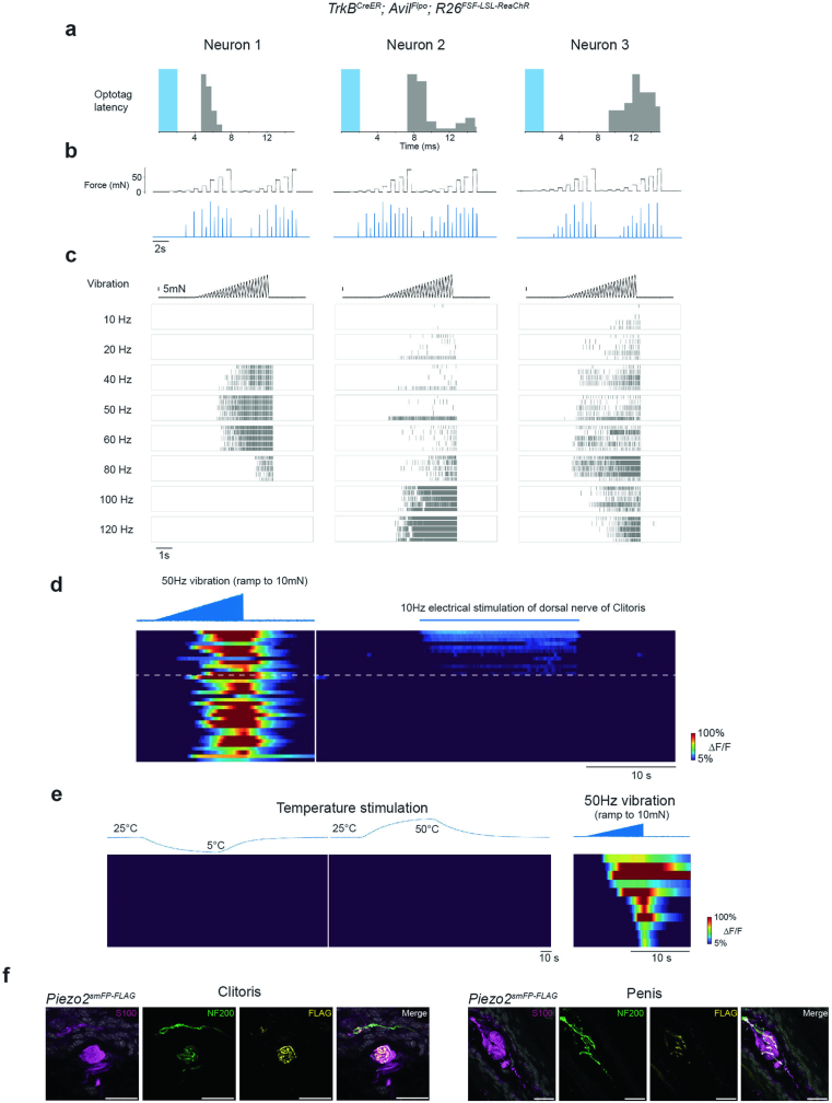 Extended Data Fig. 6