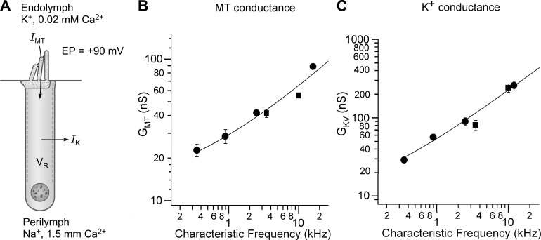 FIGURE 7.