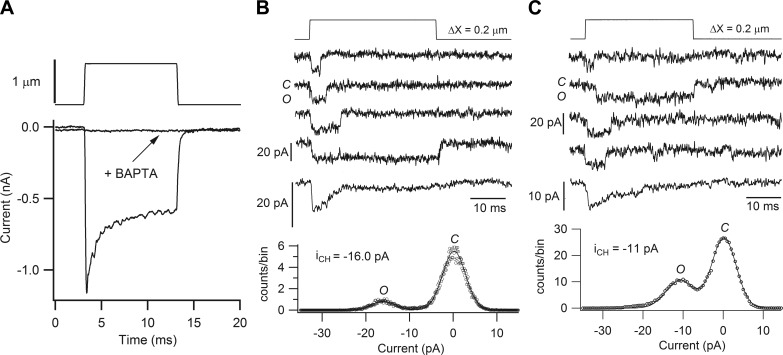 FIGURE 11.