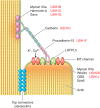 FIGURE 12.