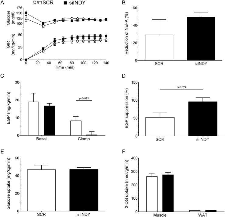 Figure 4