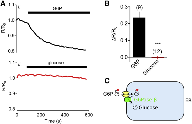 Figure 3