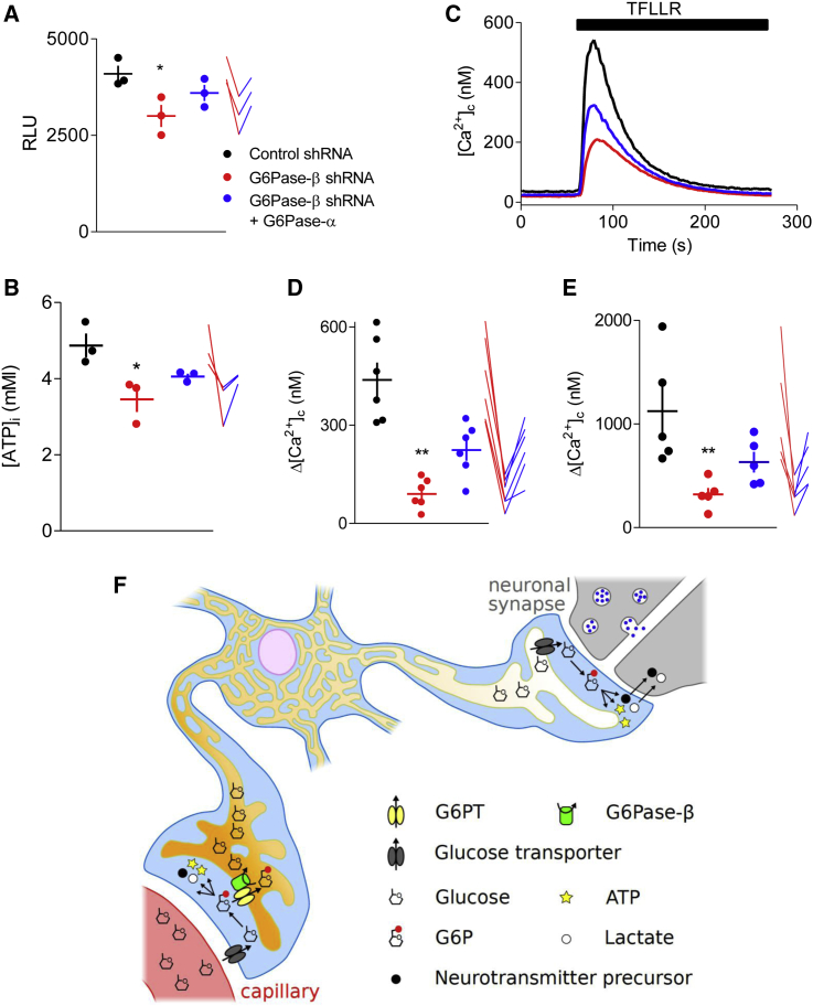 Figure 4