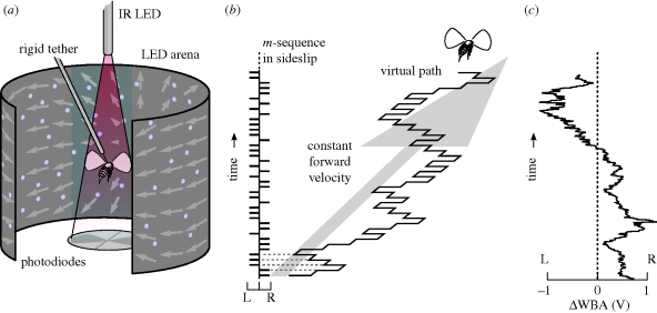 Figure 1.