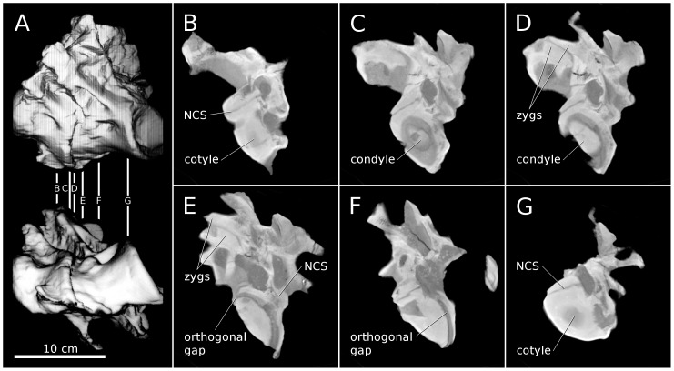 Figure 15