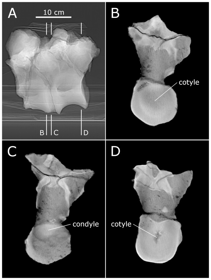 Figure 16