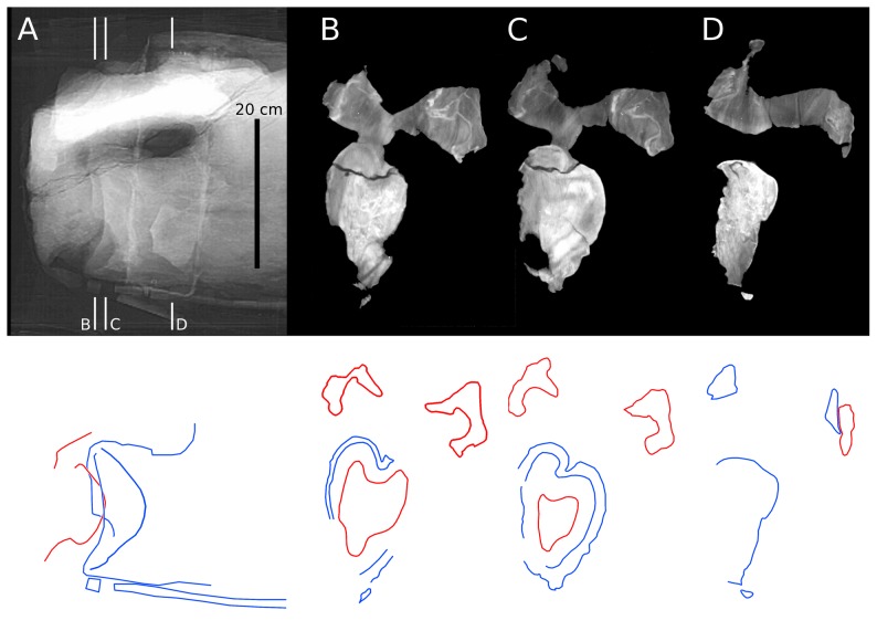 Figure 12