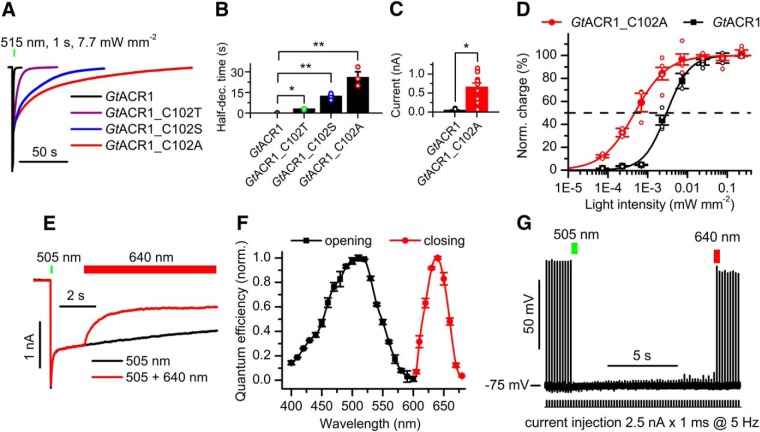 Figure 6.