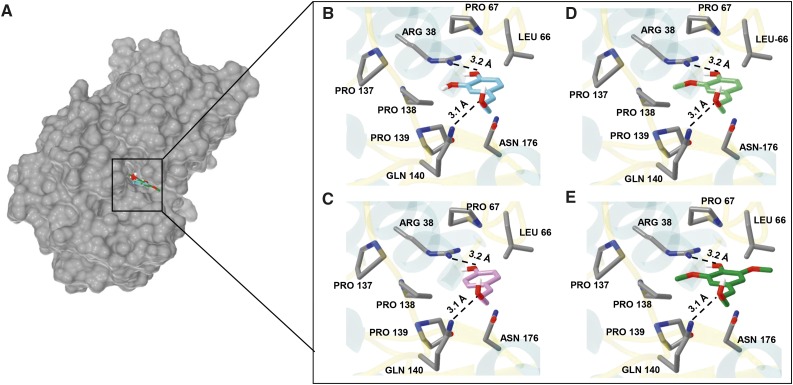 Figure 6.