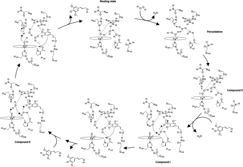 Figure 11.