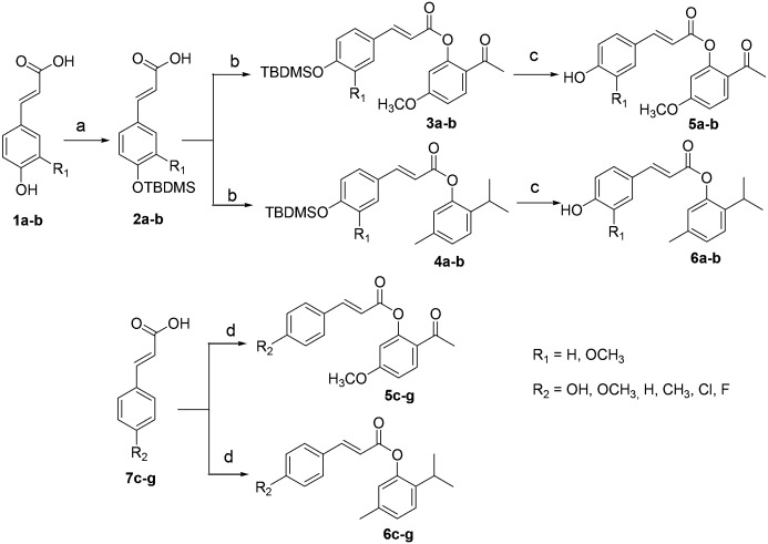 Scheme 1