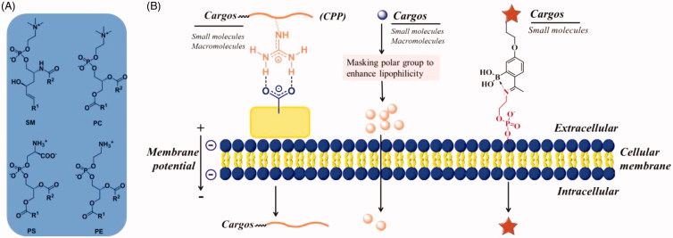 Figure 1.