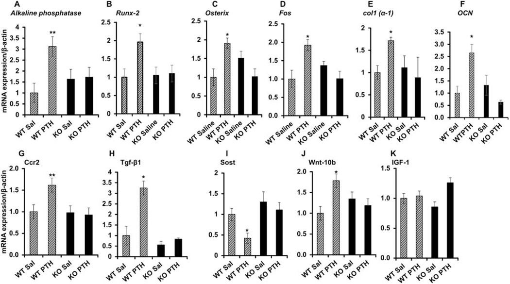 Figure 2: