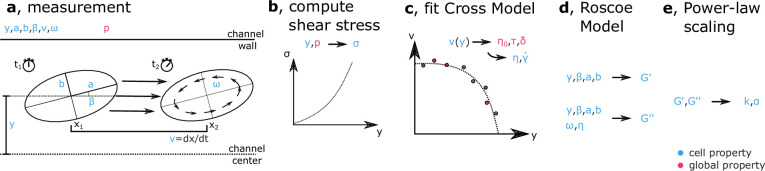 Figure 1—figure supplement 1.